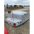 FREIGHTLINER CENTURY Hood thumbnail 2