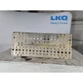 FREIGHTLINER COLUMBIA 112 DECK (CATWALK) STEP thumbnail 3