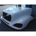 FREIGHTLINER COLUMBIA 120 2001-2015 HOOD thumbnail 2
