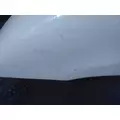 FREIGHTLINER COLUMBIA 120 2001-2015 HOOD thumbnail 6