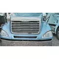 FREIGHTLINER COLUMBIA 120 2001-2015 HOOD thumbnail 2