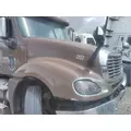 FREIGHTLINER COLUMBIA 120 HOOD thumbnail 3