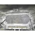 FREIGHTLINER COLUMBIA 120 HOOD thumbnail 19