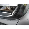 FREIGHTLINER COLUMBIA 120 HOOD thumbnail 3