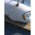 FREIGHTLINER COLUMBIA 120 HOOD thumbnail 14