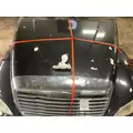FREIGHTLINER COLUMBIA 120 Hood thumbnail 10