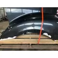 FREIGHTLINER COLUMBIA 120 Hood thumbnail 12
