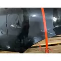 FREIGHTLINER COLUMBIA 120 Hood thumbnail 18