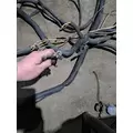 FREIGHTLINER COLUMBIA Body Wiring Harness thumbnail 6