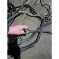 FREIGHTLINER COLUMBIA Body Wiring Harness thumbnail 7