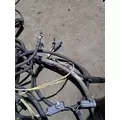 FREIGHTLINER COLUMBIA Body Wiring Harness thumbnail 9