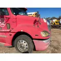 FREIGHTLINER COLUMBIA Hood thumbnail 3