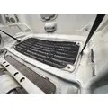 FREIGHTLINER COLUMBIA Hood thumbnail 31