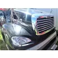 FREIGHTLINER COLUMBIA Hood thumbnail 2