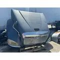 FREIGHTLINER COLUMBIA Hood thumbnail 5
