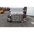 FREIGHTLINER CORONADO 2002-2016 HOOD thumbnail 2