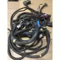 FREIGHTLINER CST120 CENTURY Wire Harness thumbnail 3