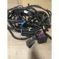 FREIGHTLINER CST120 CENTURY Wire Harness thumbnail 6