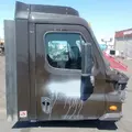 FREIGHTLINER Cascadia 113 Cab Assembly thumbnail 4