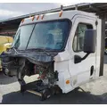 FREIGHTLINER Cascadia 113 Cab Assembly thumbnail 1