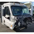 FREIGHTLINER Cascadia 113 Cab Assembly thumbnail 4