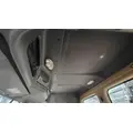 FREIGHTLINER Cascadia 113 Cab Assembly thumbnail 9