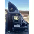 FREIGHTLINER Cascadia 113 Cab Assembly thumbnail 3
