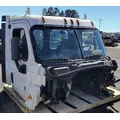 FREIGHTLINER Cascadia 113 Cab Assembly thumbnail 2