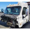 FREIGHTLINER Cascadia 113 Cab Assembly thumbnail 2