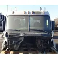 FREIGHTLINER Cascadia 113 Cab Assembly thumbnail 1