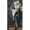 FREIGHTLINER Cascadia 113 Cooling Assy. (Rad., Cond., ATAAC) thumbnail 2