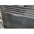FREIGHTLINER Cascadia 113 Cooling Assy. (Rad., Cond., ATAAC) thumbnail 5