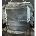 FREIGHTLINER Cascadia 113 Cooling Assy. (Rad., Cond., ATAAC) thumbnail 2