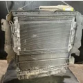 FREIGHTLINER Cascadia 113 Cooling Assy. (Rad., Cond., ATAAC) thumbnail 2