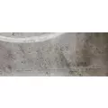 FREIGHTLINER Cascadia 113 Cowl thumbnail 3