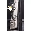 FREIGHTLINER Cascadia 113 Door Assembly, Front thumbnail 4