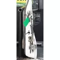 FREIGHTLINER Cascadia 113 Door Assembly, Front thumbnail 3