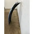 FREIGHTLINER Cascadia 113 Fender Extension thumbnail 2