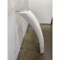 FREIGHTLINER Cascadia 113 Fender Extension thumbnail 3