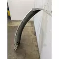 FREIGHTLINER Cascadia 113 Fender Extension thumbnail 4