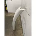 FREIGHTLINER Cascadia 113 Fender Extension thumbnail 3