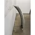 FREIGHTLINER Cascadia 113 Fender Extension thumbnail 4