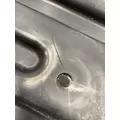FREIGHTLINER Cascadia 113 Fender Extension thumbnail 11