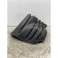FREIGHTLINER Cascadia 113 Fender Extension thumbnail 2
