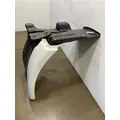FREIGHTLINER Cascadia 113 Fender Extension thumbnail 3