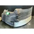 FREIGHTLINER Cascadia 113 Fender Extension thumbnail 1