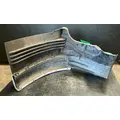 FREIGHTLINER Cascadia 113 Fender Extension thumbnail 2