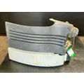 FREIGHTLINER Cascadia 113 Fender Extension thumbnail 1