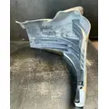 FREIGHTLINER Cascadia 113 Fender Extension thumbnail 2