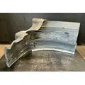 FREIGHTLINER Cascadia 113 Fender Extension thumbnail 3